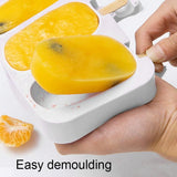 Popsicle Ice Cream Mold Set of 2