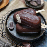 Popsicle Ice Cream Mold Set of 2