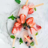 Popsicle Ice Cream Mold Set of 2