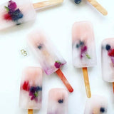 Popsicle Ice Cream Mold Set of 2