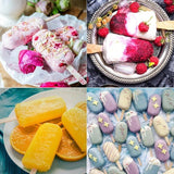 Popsicle Ice Cream Mold Set of 2